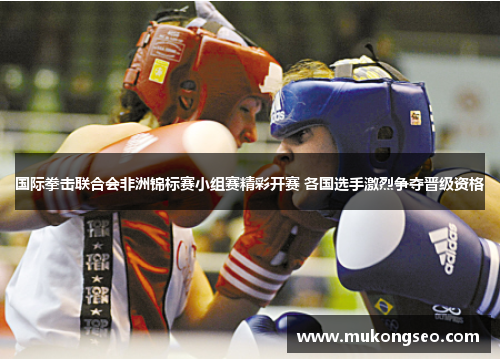 国际拳击联合会非洲锦标赛小组赛精彩开赛 各国选手激烈争夺晋级资格