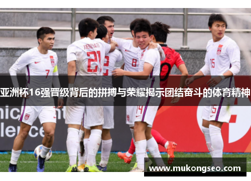 亚洲杯16强晋级背后的拼搏与荣耀揭示团结奋斗的体育精神
