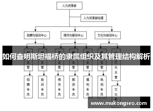 如何查明斯坦福桥的隶属组织及其管理结构解析
