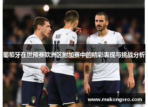 葡萄牙在世预赛欧洲区附加赛中的精彩表现与挑战分析