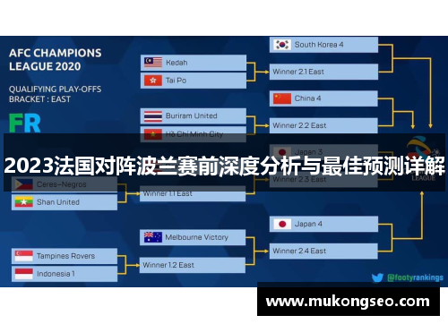 2023法国对阵波兰赛前深度分析与最佳预测详解