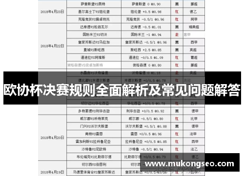 欧协杯决赛规则全面解析及常见问题解答